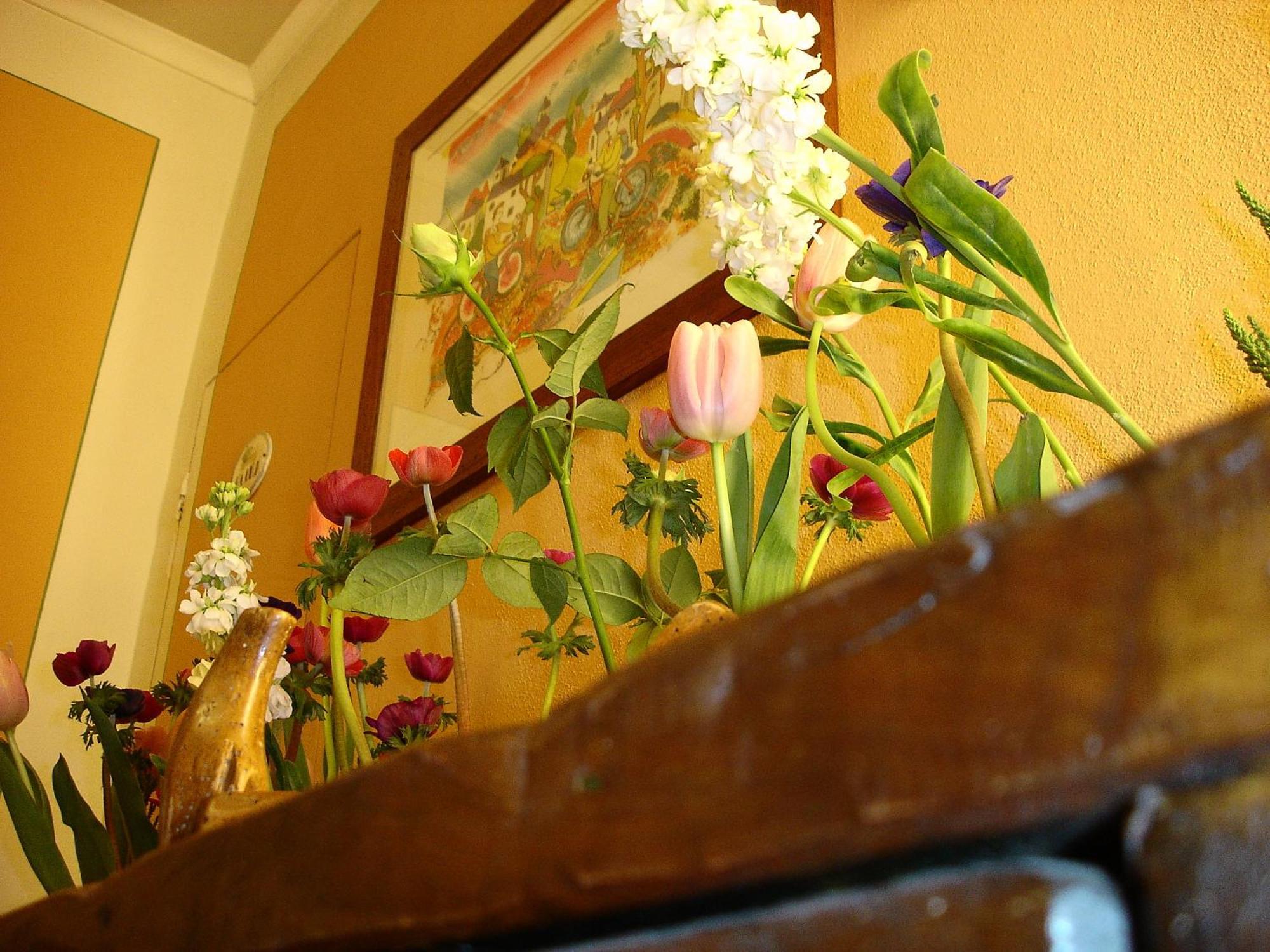 Albergo San Martino & Depandance Lucca Exterior photo